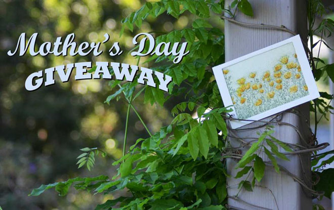 Red Tail Studios Mothers Day Giveaway