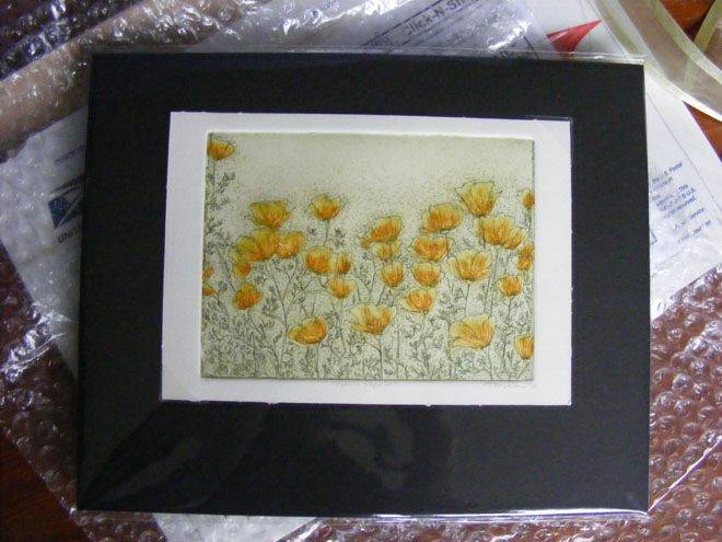 Poppies