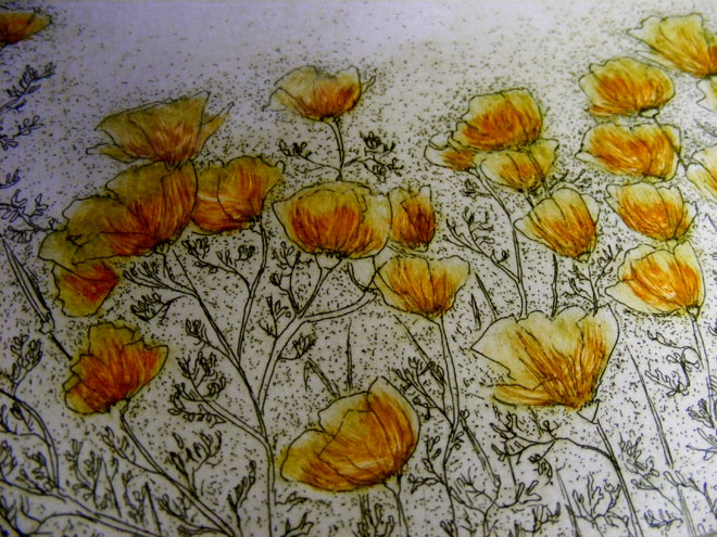 Poppies Detail